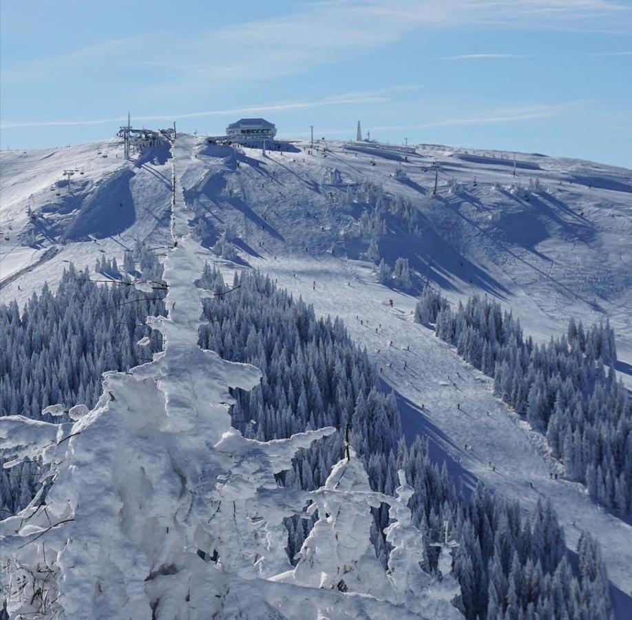 Megi Apartman - Konaci Maglic Kopaonik Zewnętrze zdjęcie