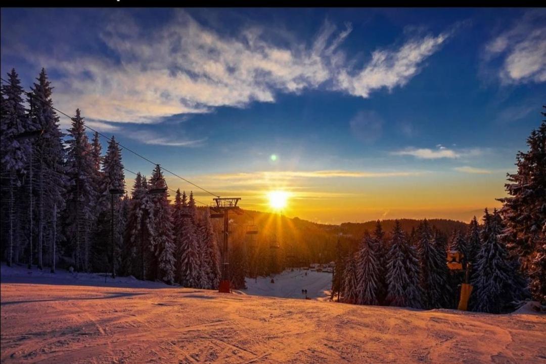 Megi Apartman - Konaci Maglic Kopaonik Zewnętrze zdjęcie